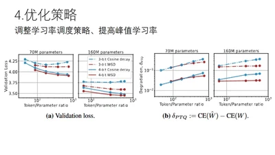 TD-PTQ：训练动力学对训练后量化鲁棒性的影响 featured image